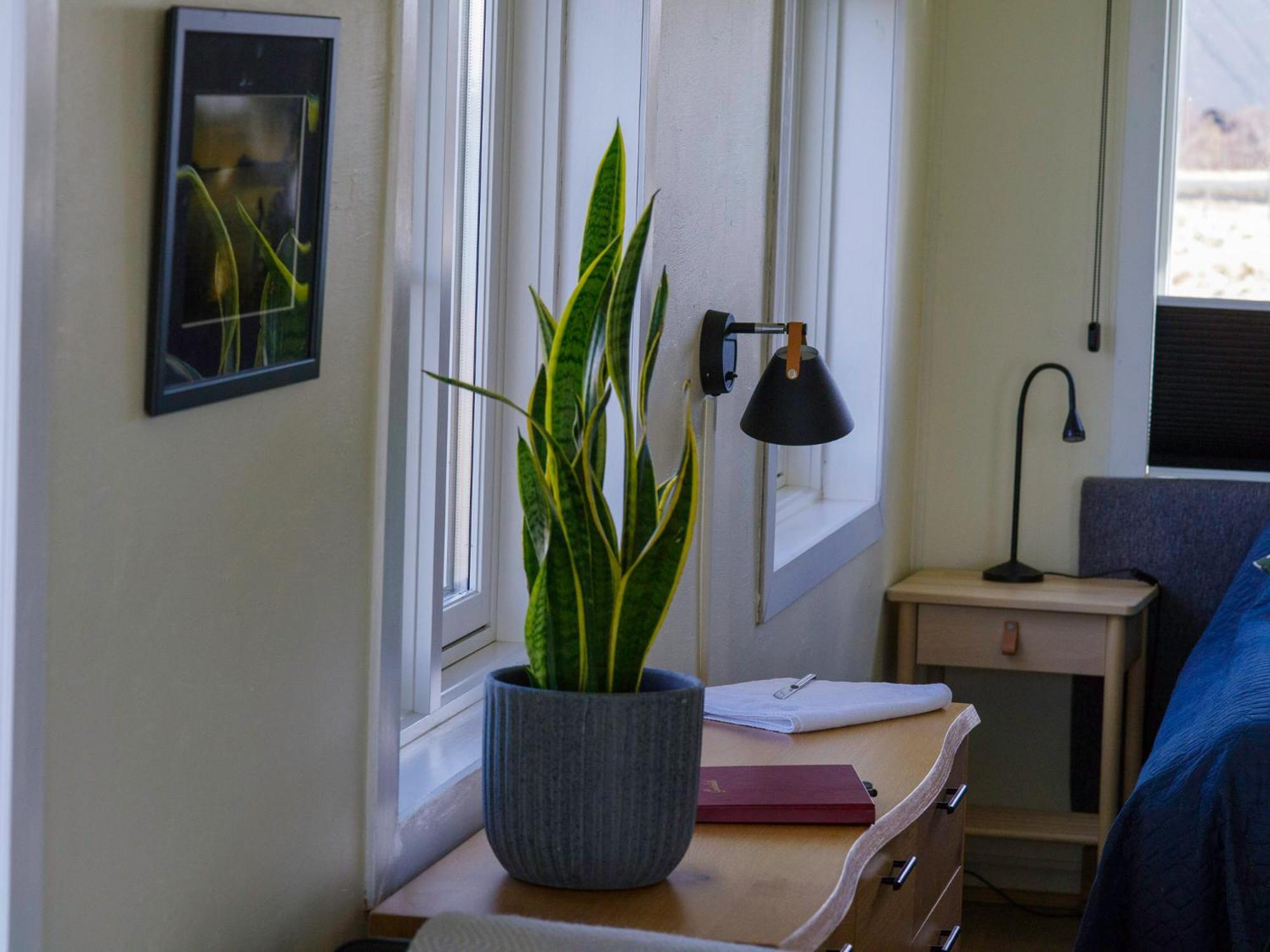Myvo The Studio Apartment At Geiteyjarstroend 4 Reykjahlith Ngoại thất bức ảnh